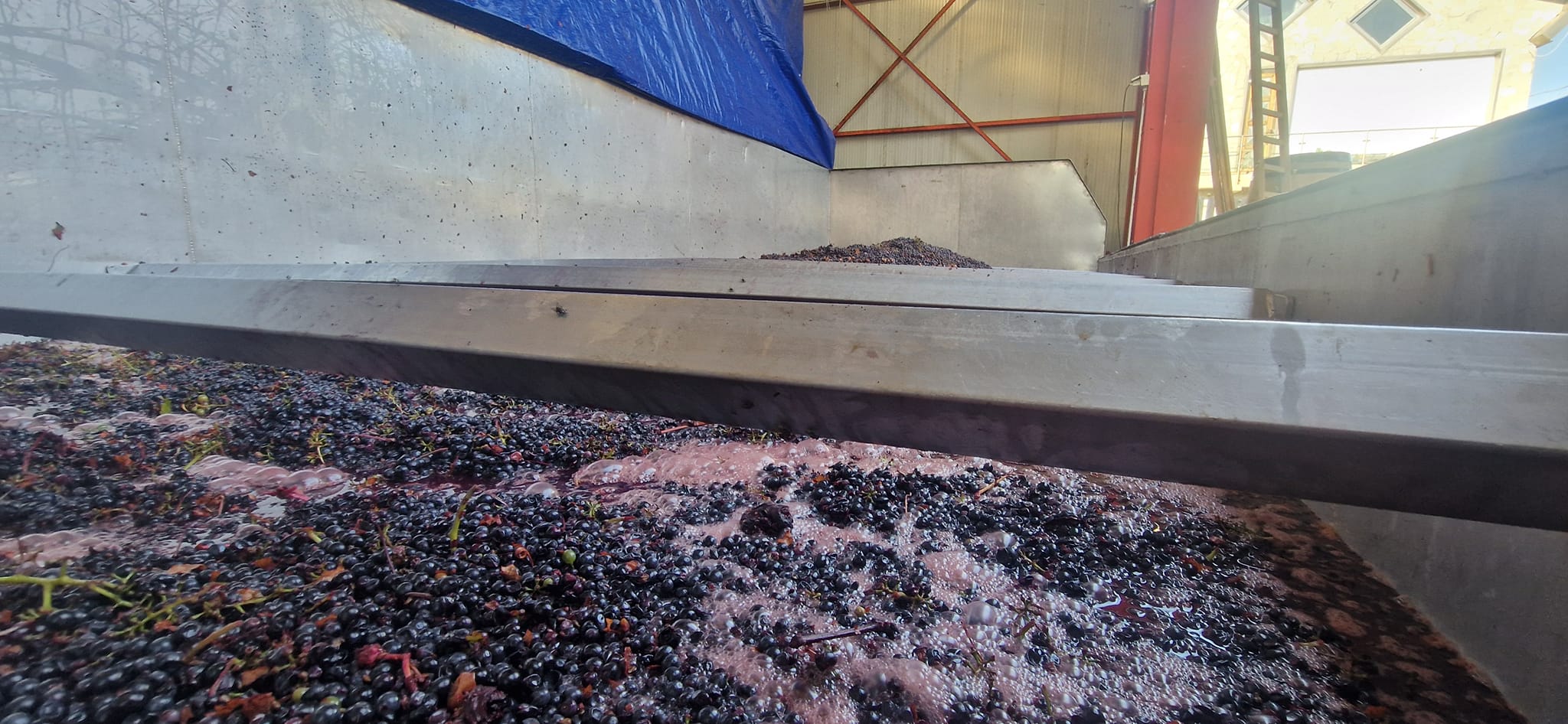 480736936_623935307005290_2124315152067294370_n