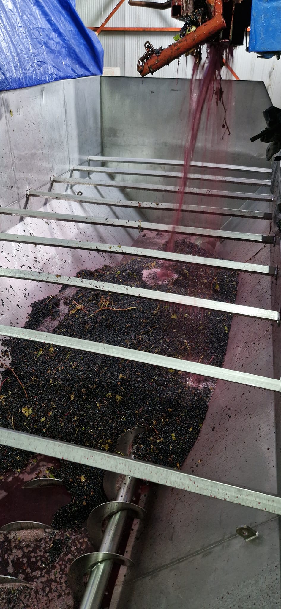 480886343_623935190338635_6119047393941814537_n