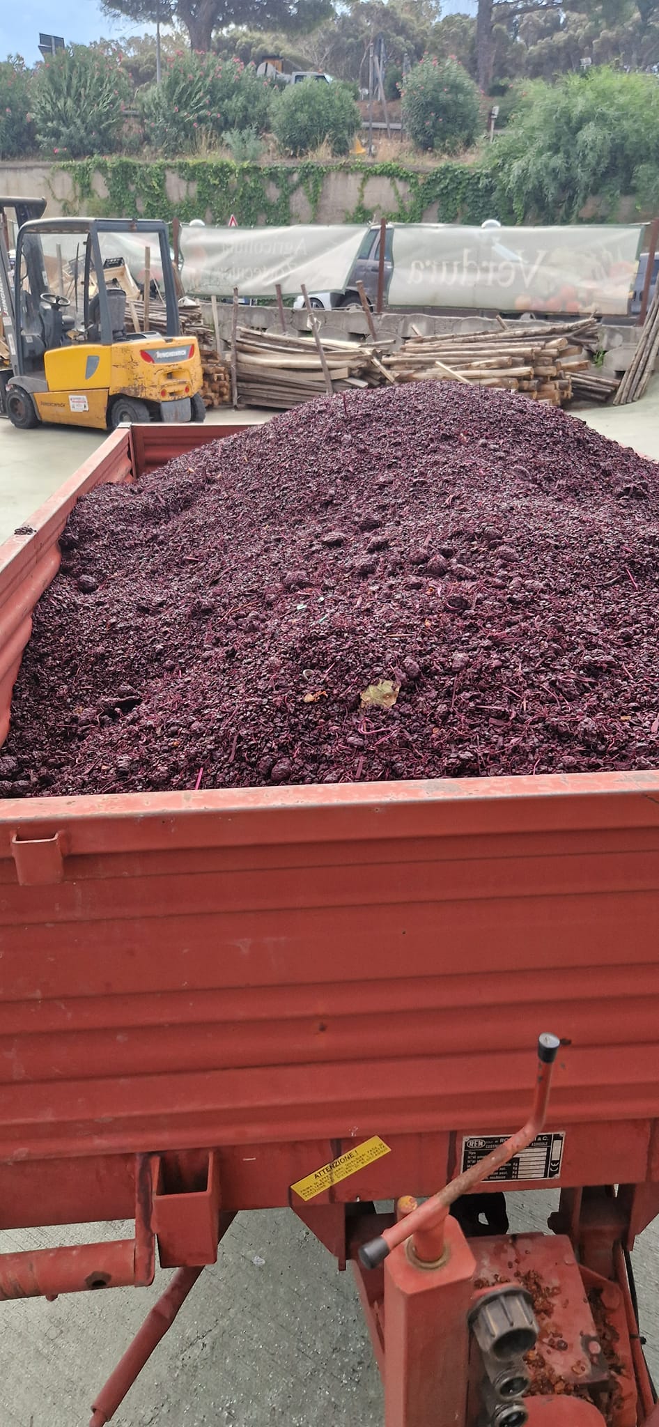 480966289_623935077005313_3632053507918185371_n