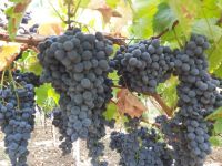 515441198_756805137051639_685889492052280638_n