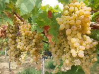 535192591_756805177051635_2672722600464989500_n