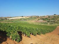 FB_IMG_1504553210170